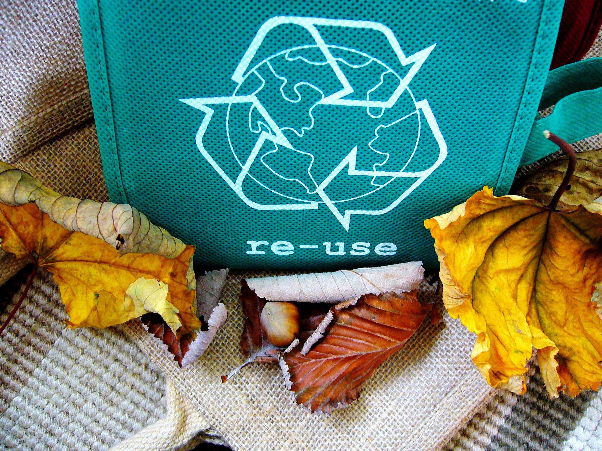 Targi Zero Waste, czyli jak zmniejszyć ilość odpadów w życiu codziennym