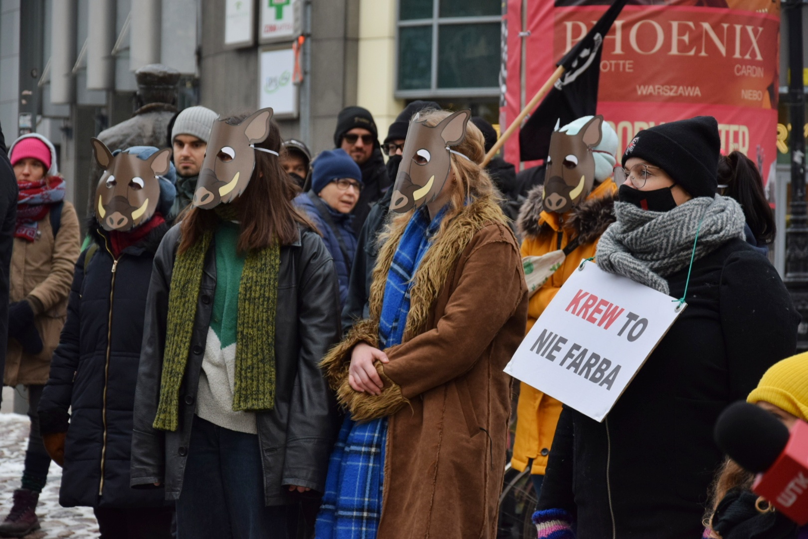 Protestowali na ul. Półwiejskiej w obronie dzików