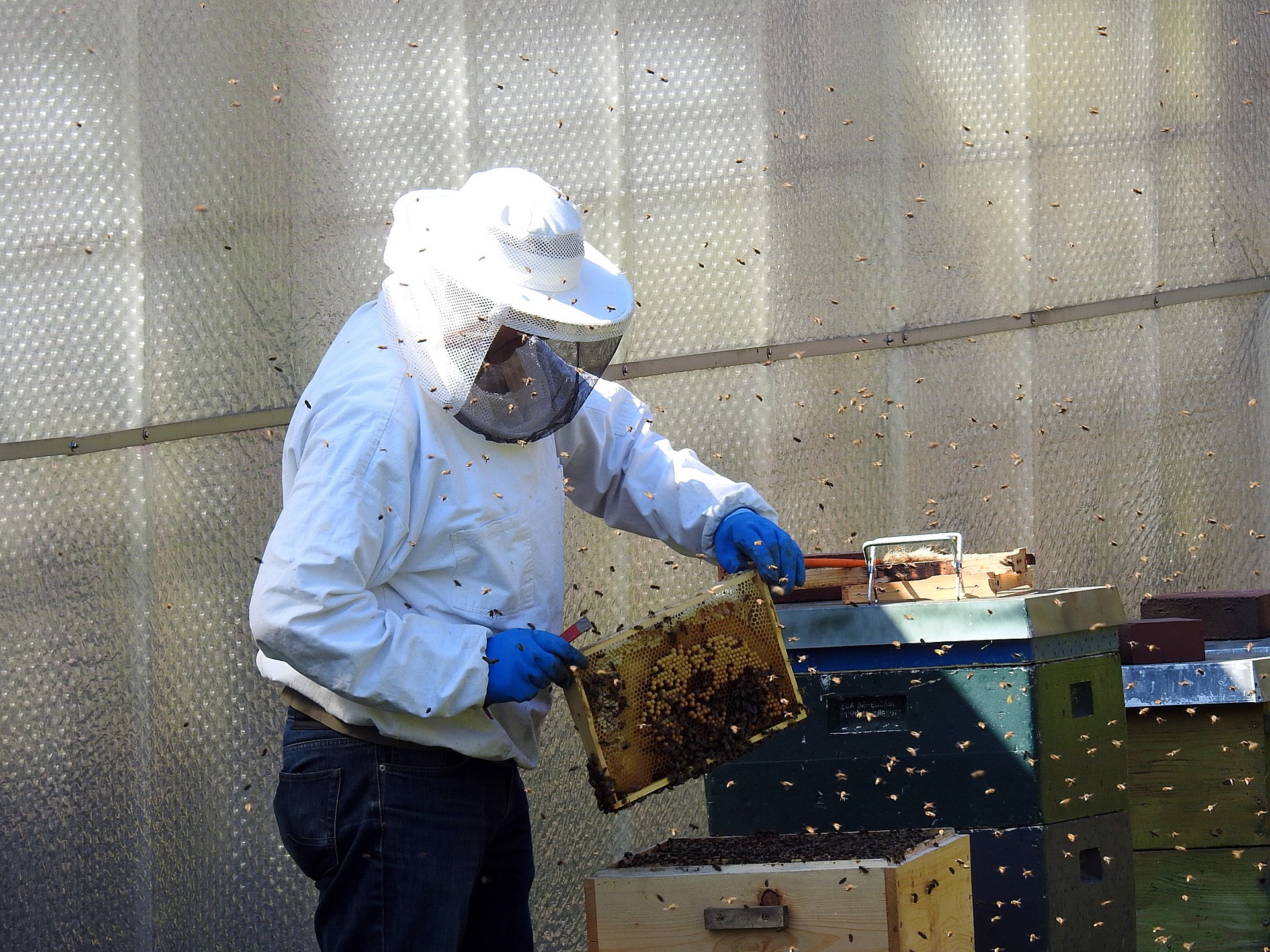 Zniszczył 35 uli i naraził pszczoły na zimowe warunki atmosferyczne