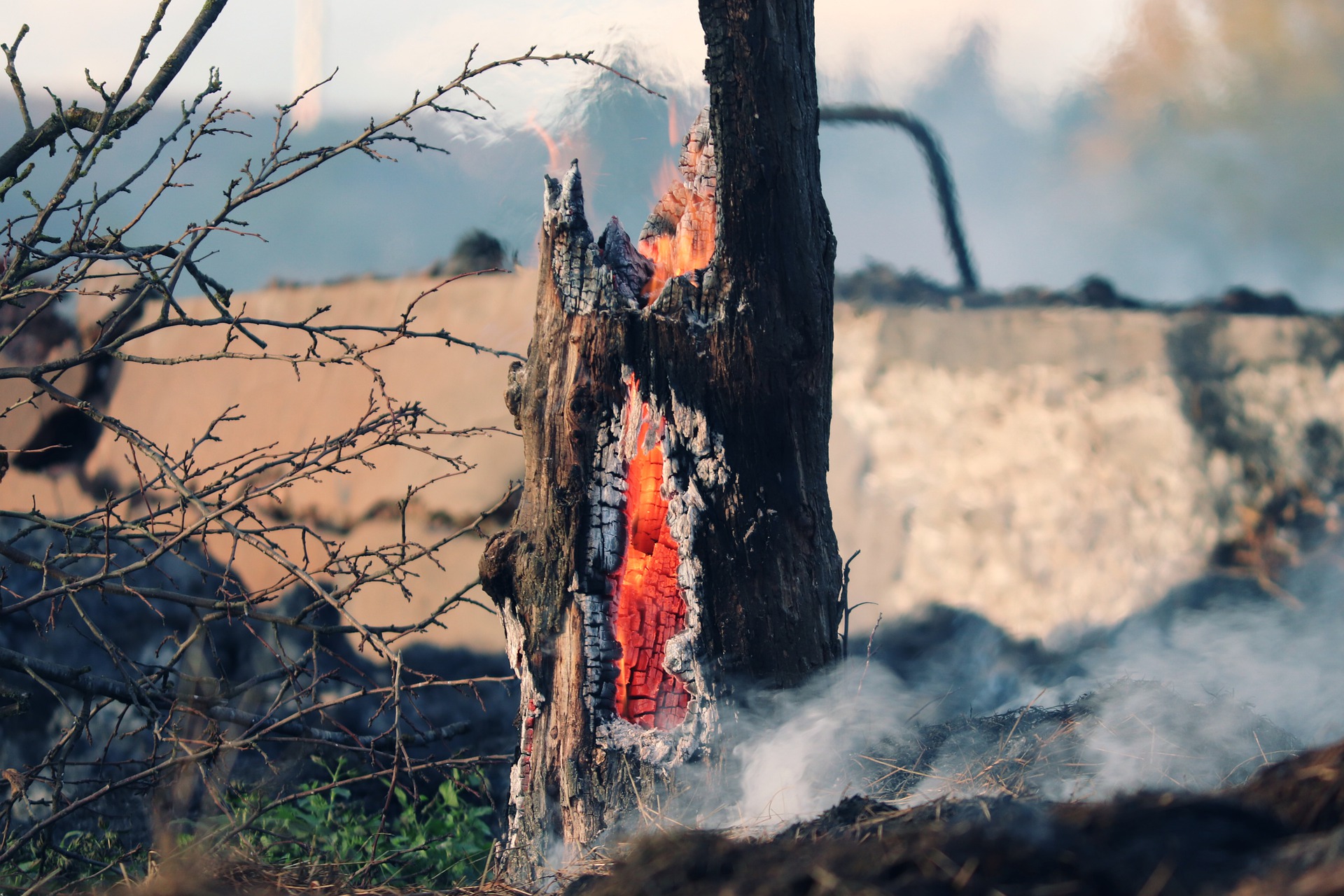 Najwyższy i średni stopień zagrożenia pożarowego w wielkopolskich lasach