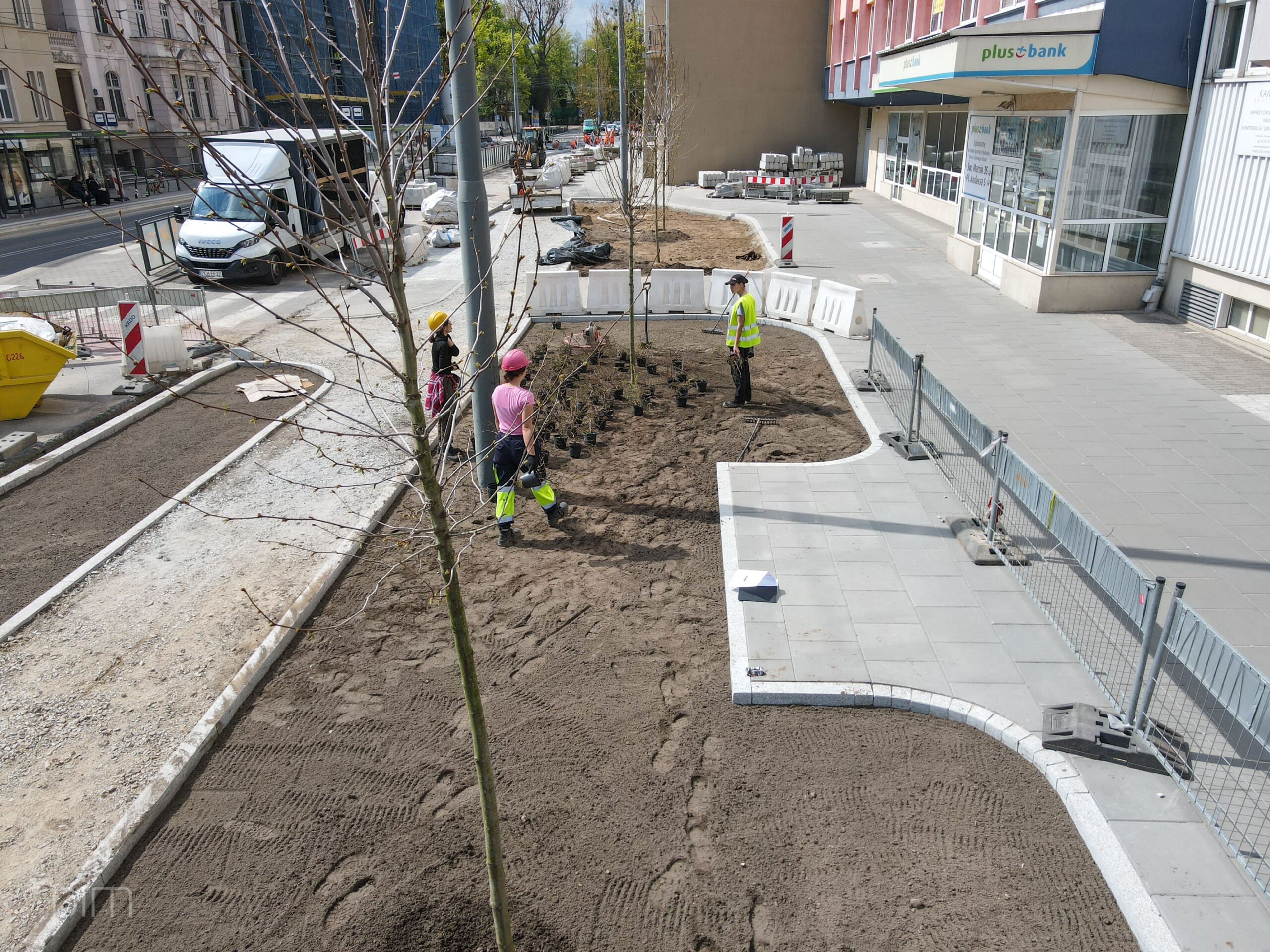 Drzewa zamiast betonu – nowa zieleń na ul. Zwierzynieckiej