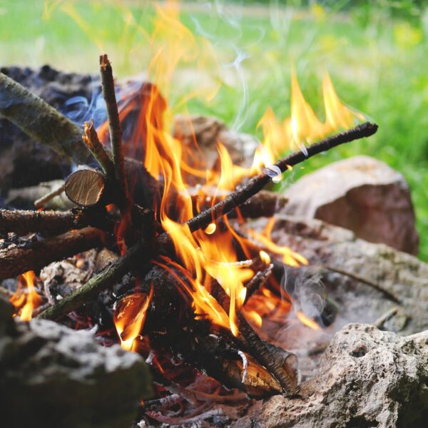 Czy w poznańskich lasach przybędzie miejsc do organizacji ogniska?