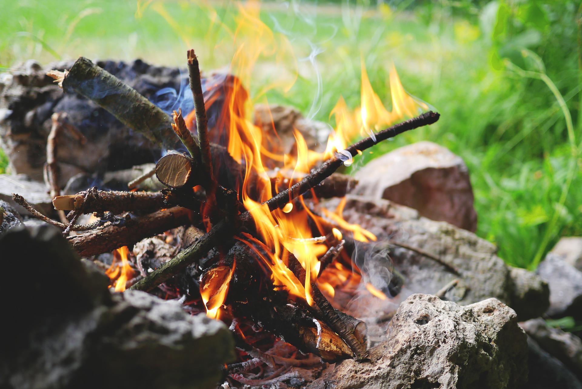 Czy w poznańskich lasach przybędzie miejsc do organizacji ogniska?