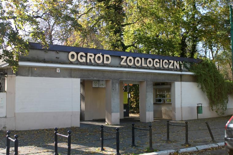 Stare Zoo zaprasza na wolontariat