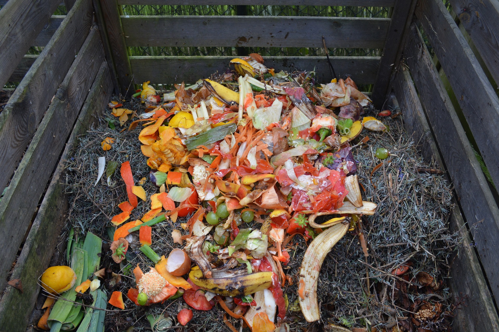 Jak założyć kompost w ogrodzie i co tam wrzucać?