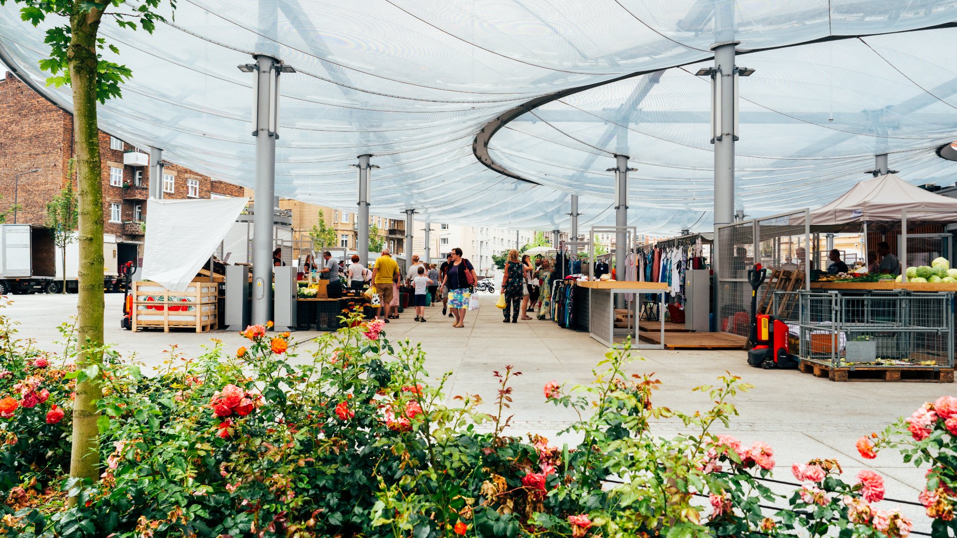 Eko Piknik na Rynku Łazarskim: Krok w kierunku zielonej przyszłości