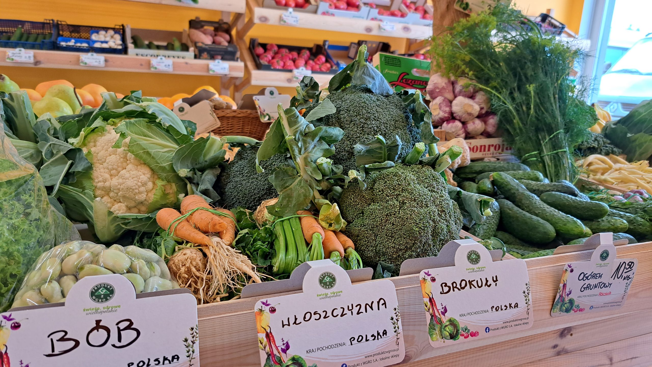 Sprawdziliśmy, gdzie kupisz warzywa i owoce prosto z pola i ile za nie zapłacisz