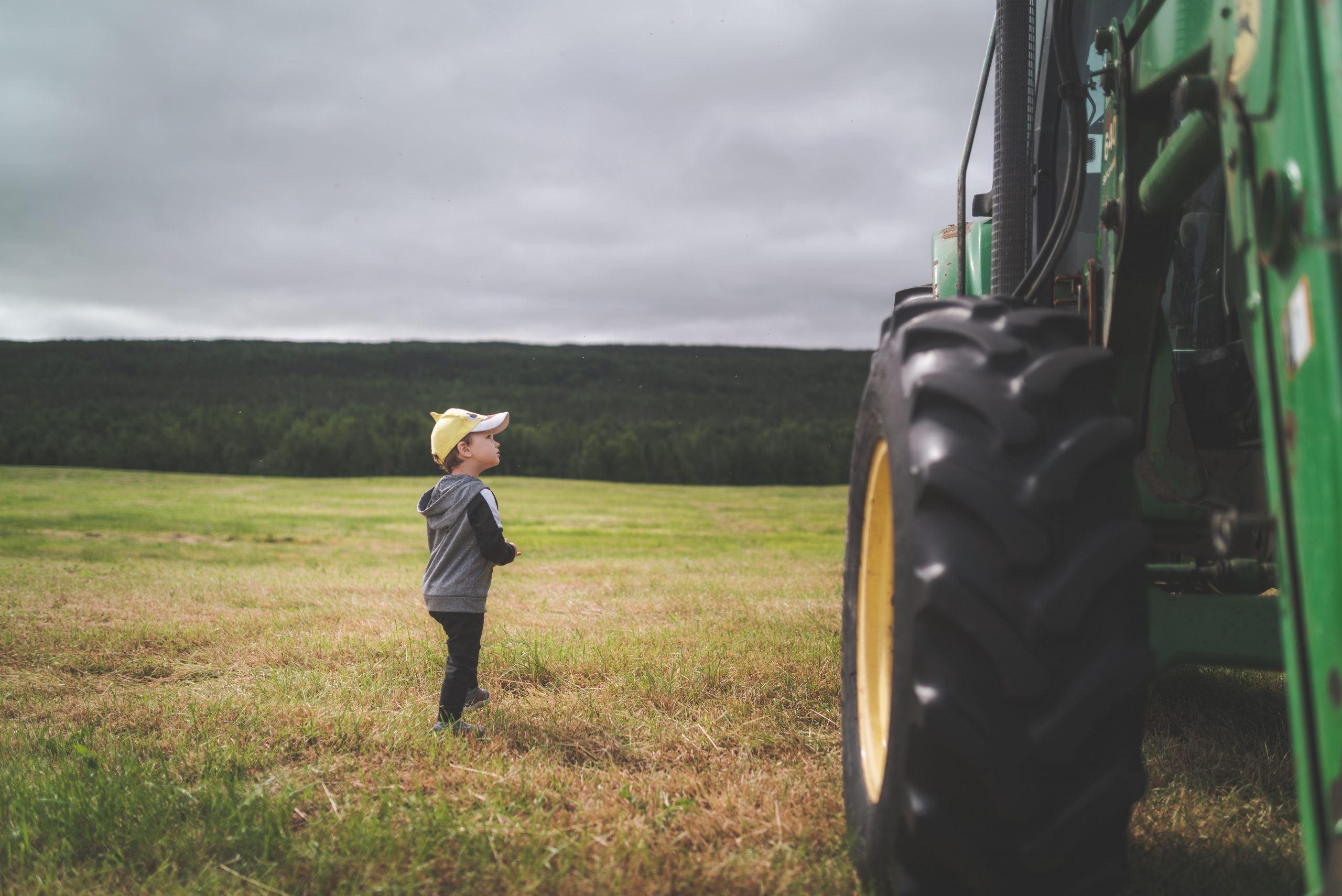 Bezpieczeństwo dzieci w gospodarstwach rolniczych. Zasady, których nie wolno łamać
