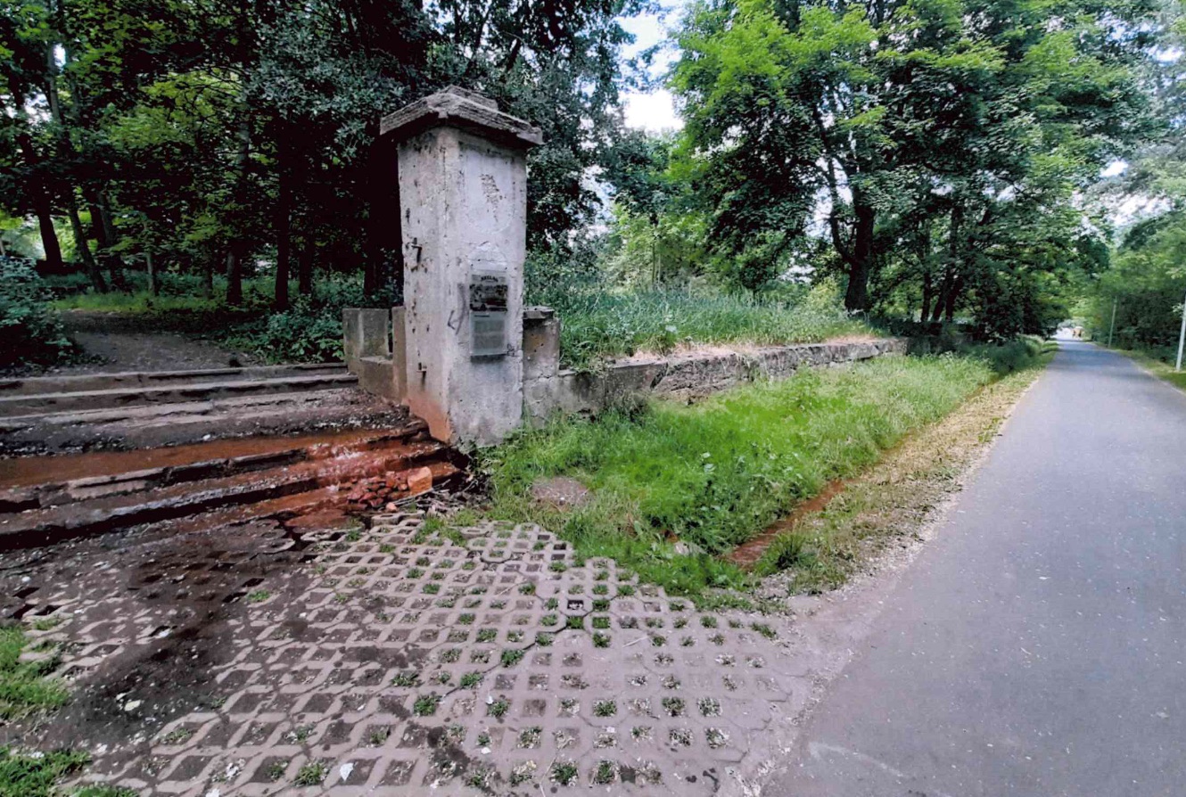 Park Szelągowski popada w ruinę? Kiedy możliwa jest modernizacja?