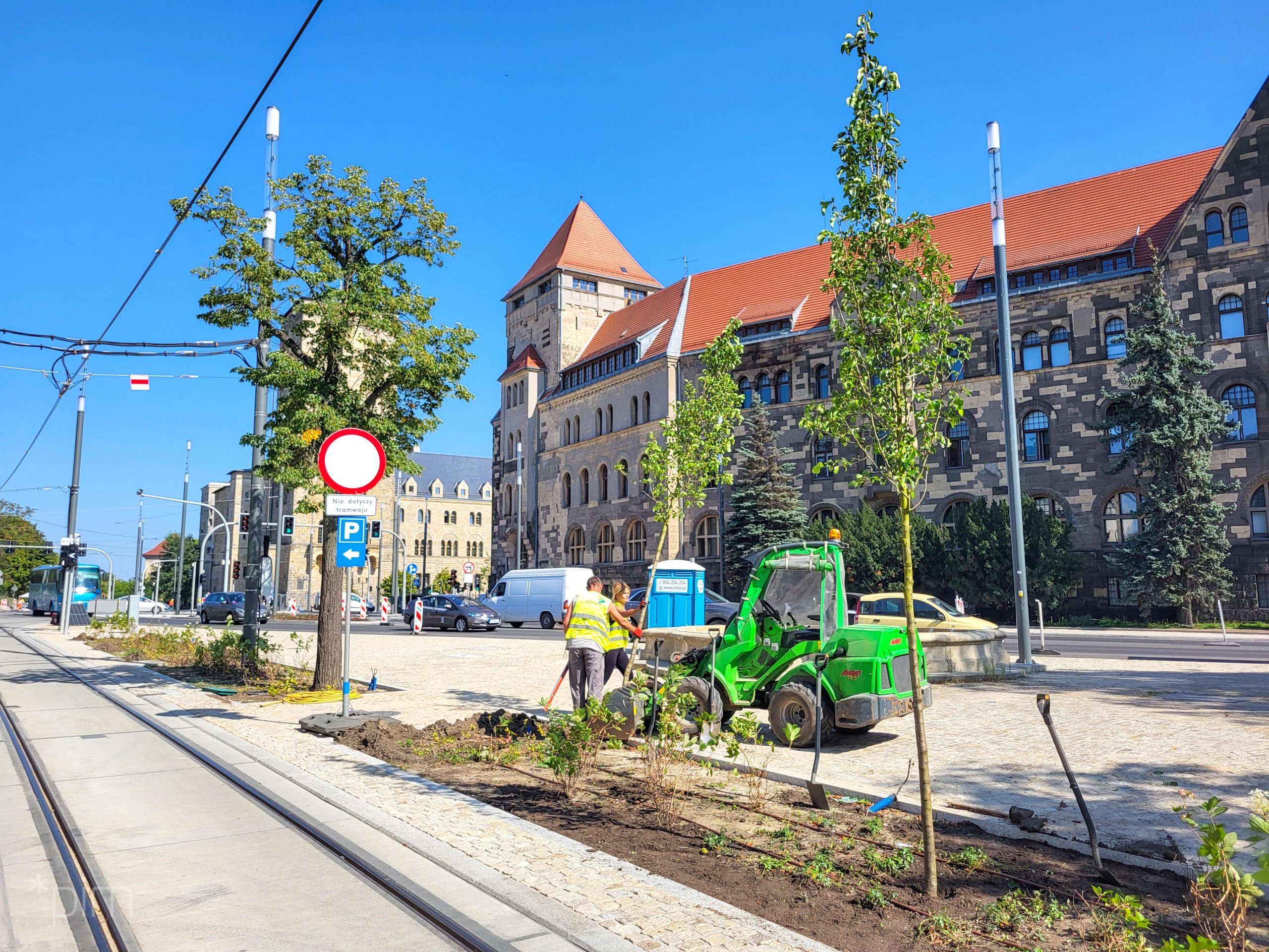 Nowa zieleń w centrum miasta. Trwają nasadzenia w trzech lokalizacjach