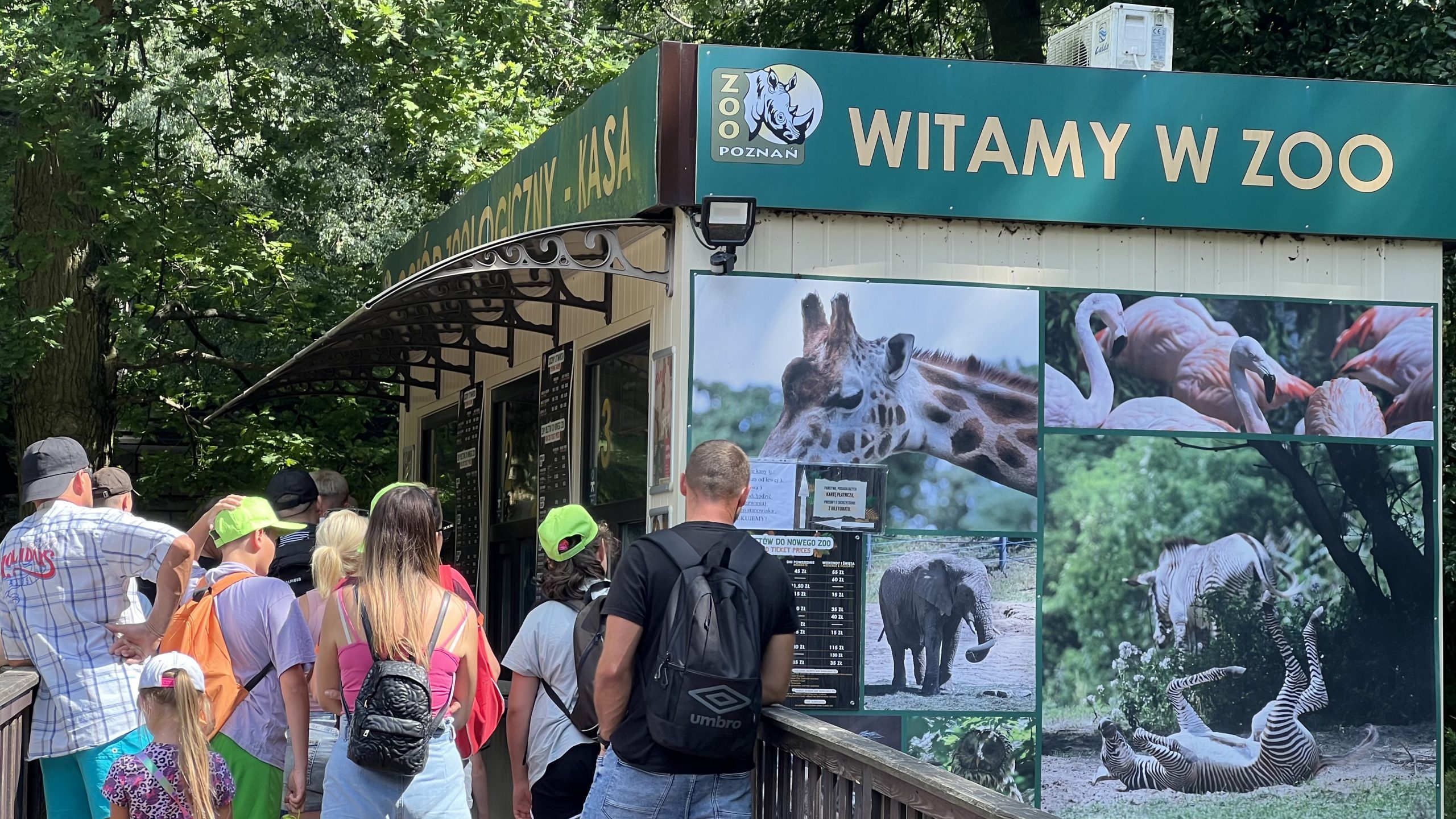 Zoo Poznań zmienia godziny otwarcia i zaprasza na jesienne spacery