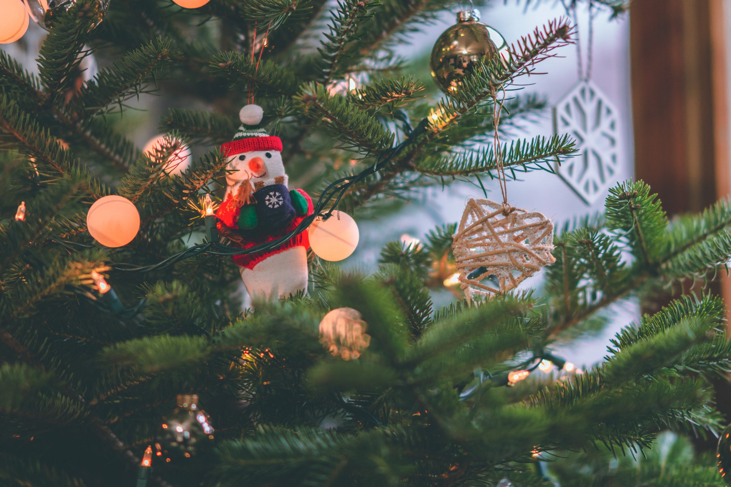 EKO-BOMBKA: poznańscy uczniowie mogą stworzyć ozdoby świąteczne z odpadów i wygrać nagrody
