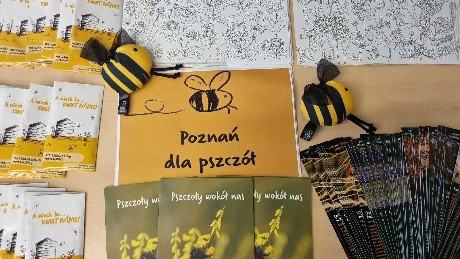 “Poznań dla pszczół” – jak stolica Wielkopolski wspierała pszczoły w 2023 roku?
