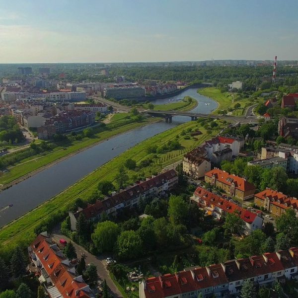 Nowe pomniki przyrody w Poznaniu coraz bliżej