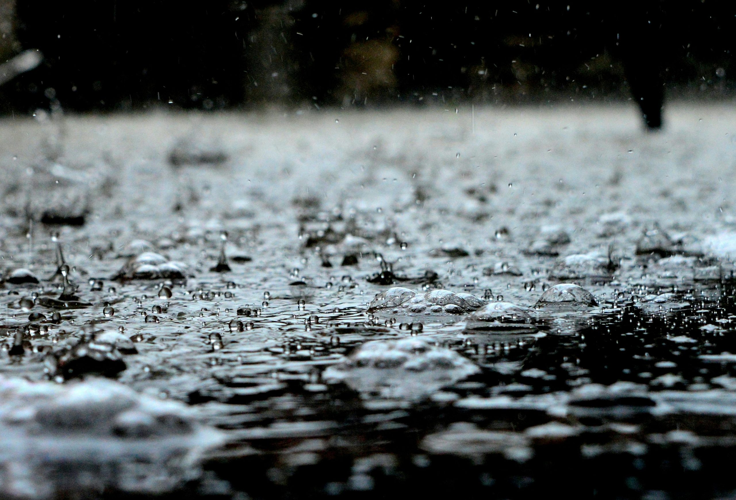 Ponad 1,6 mln zł na 17 instalacji magazynowania wody deszczowej w Wielkopolsce