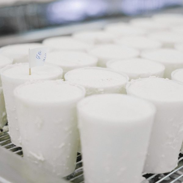UOKiK nakazał OSM w Kole zmianę praktyk niekorzystnych dla dostawców mleka