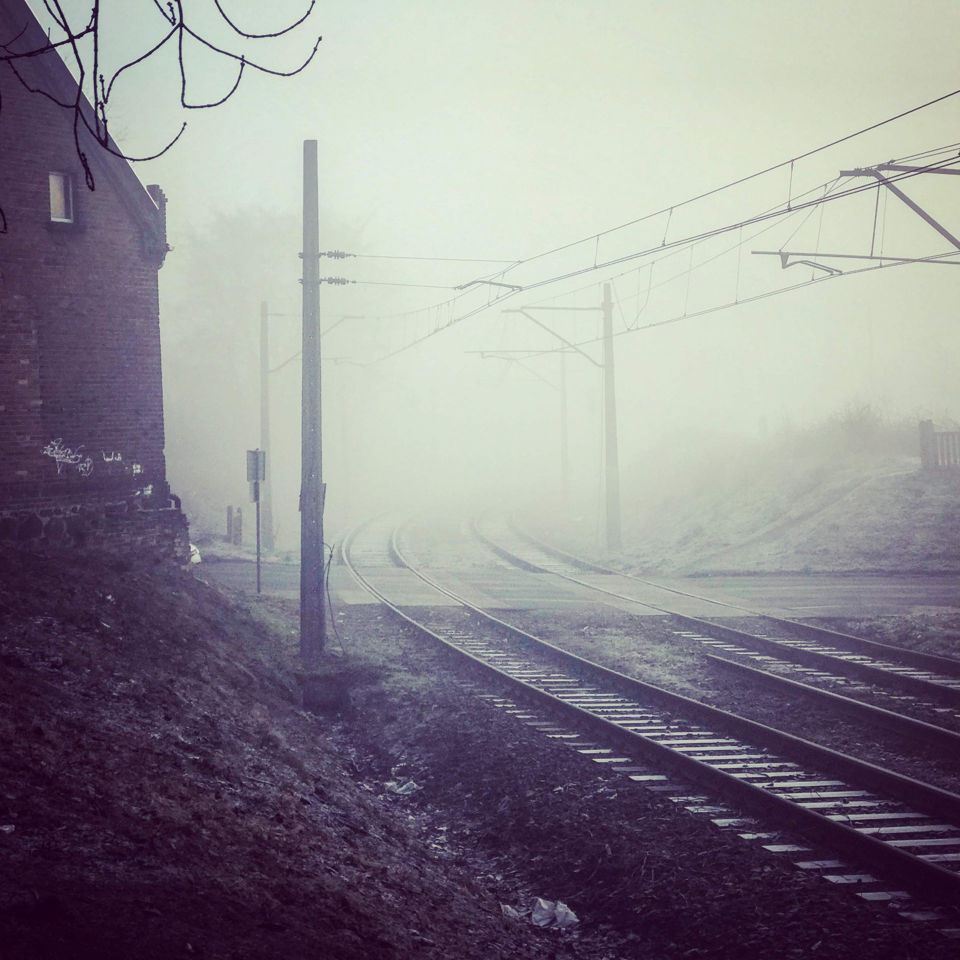 Jesienno-zimowe mgły: dlaczego się pojawiają i jak wpływają na codzienne życie?